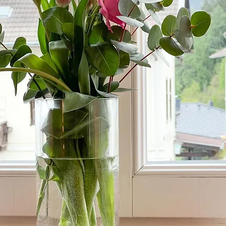 Gaestezimmer Karolina *